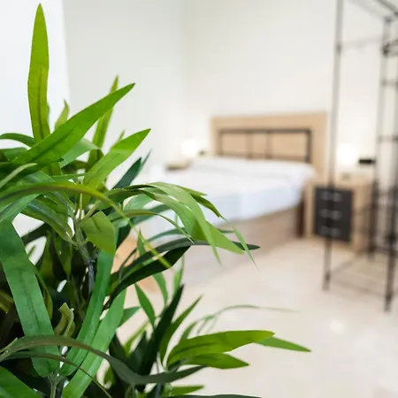 Apartamento Vera Garden By Concept Flats *